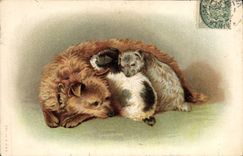 CPA Chien Chiens Chiot 