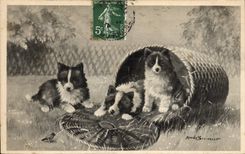 CPA Chien Chiens Chiot 