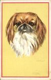 CPA Chien Chiens Chiot 