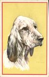 CPA Chien Chiens Chiot 