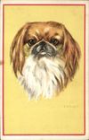 CPA Chien Chiens Chiot 