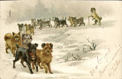 CPA Chien Chiens Chiot 