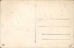 Postal Perro Perros Cachorro (decorado en relieve)