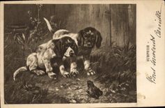 CPA Chien Chiens Chiot Grenouille 