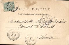 Vintage Postcard Chien Dogs Pup Splashes