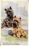 Vintage Postcard Dog Dogs Pup Waiting for someone
