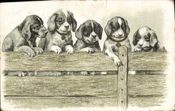 CPA Chien Chiens Chiot 
