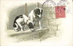 CPA Chien Chiens Chiot 