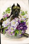 CPA Chien Chiens Chiot Fleurs 