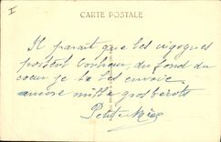 CPA Folklore Alsace Nid de cigognes