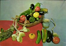 Postal Pisto Nicoise