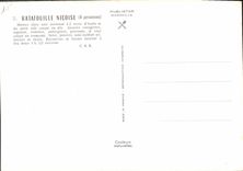 Postal Pisto Nicoise