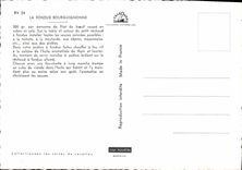 CPM La fondue Bourguignonne