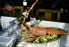 CPM Bretagne Une belle langouste