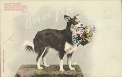 Vintage Postcard Imagination Dog