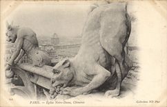 CPA Gargouille Paris Notre Dame Chimeres