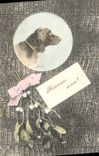 Vintage Postcard Dog Chients Pup