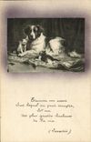 Vintage Postcard Dog Chients Pup Cat