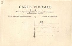 Vintage Postcard Dog Chients Pup Cat