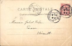 Vintage Postcard Dog Chients Pup Impatience