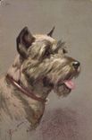 CPA Chien Chients Chiot 