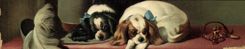 CPA Chien Chients Chiot 