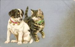 CPA Chien Chients Chiot Chat Chaton