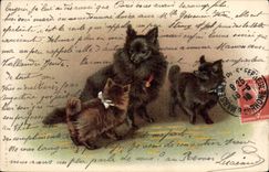 CPA Chien Chients Chiot 