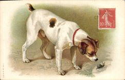 CPA Chien Chients Chiot Escargot