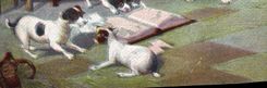CPA Chien Chients Chiot 
