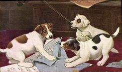 CPA Chien Chients Chiot 