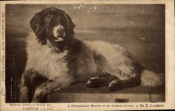 CPA Chien Chients Chiot 