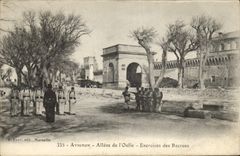 CPA Militaria Avignon Allees de l'Oulle Exercices des recrues