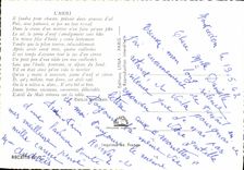 Postal Cocina Ingreso del Alioli