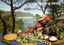 Modern Postcard Cooks soup with the pistou