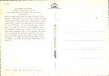 Postal cocina la sopa al pistou