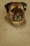 CPA Chien Chiens Chiot 