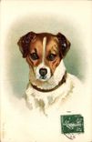 CPA Chien Chiens Chiot 