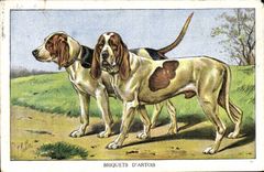 Vintage Postcard Dog Dogs Pup Lighters of Artois