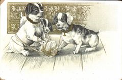 CPA Chien Chiens Chiot 