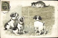CPA Chien Chiens Chiot 