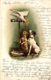 Vintage Postcard Dog Dogs Pup Parrot