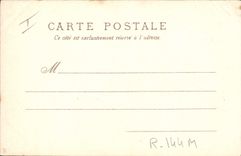 Vintage Postcard Dog Dogs Pup Parrot