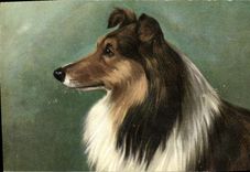 CPA Chien Chiens Chiot 
