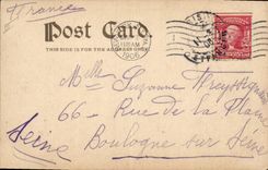 Vintage Postcard Dog Dogs Pup Child Peek A Boo