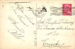 Vintage Postcard Dog Dogs Pup Child Chick Egg