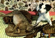 Modern Postcard the jugged hare Drives out