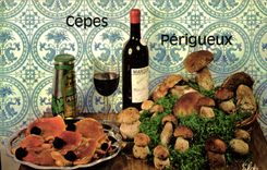 Modern Postcard Périgueux Boletus