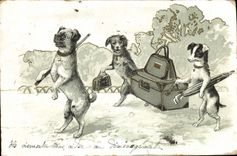 CPA Chien Chiens Chiot 