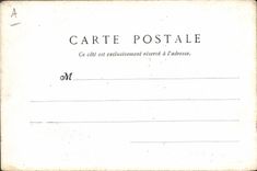 Vintage Postcard Dog Dogs Pup Race Toilets Spaniel Spaniel of English water Fleury